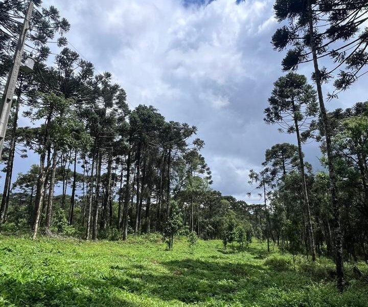 SÍTIO NO GUAIRACÁ